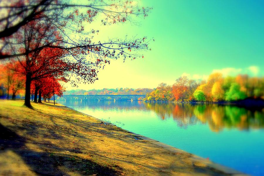 Tree Photograph - Schuykill River In Autumn by Marla McPherson