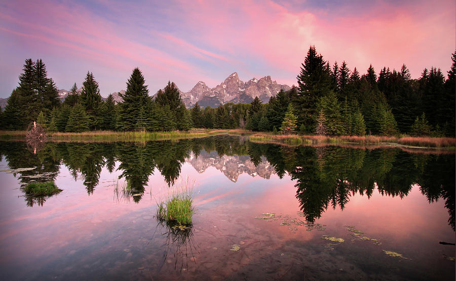 Schwabacher Landing Dawn Photograph by Ronnie And Frances Howard