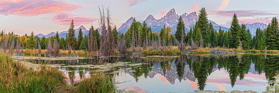 Schwabacher Landing In Blue Hour Photograph by Angelo Marcialis