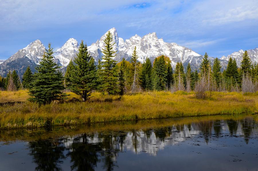 Schwabachers Landing Photograph by Dwight Eddington