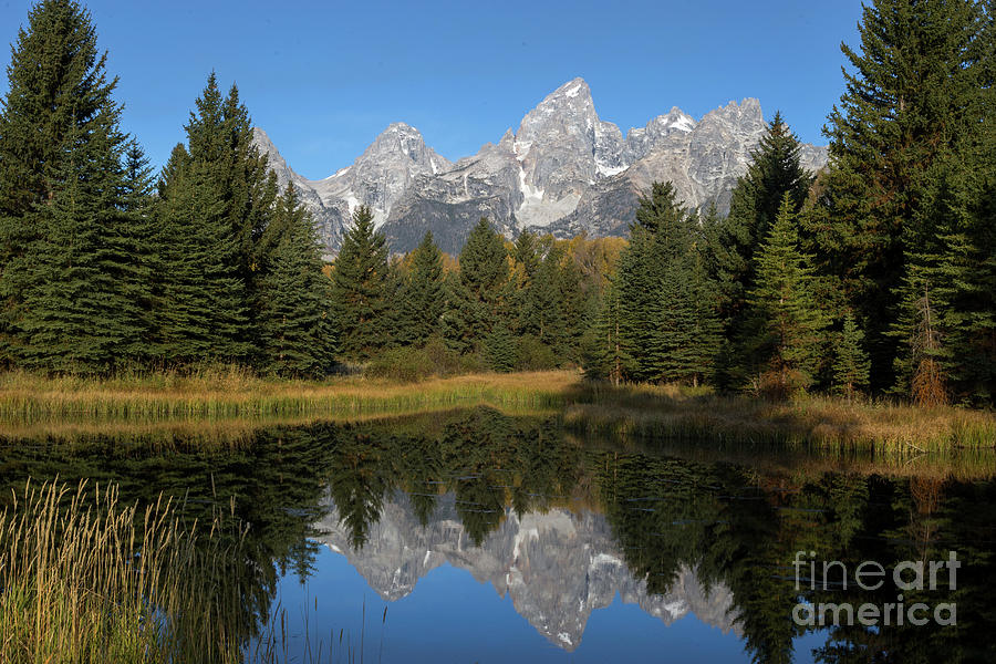 Schwabachers Reflection Photograph by Reva Dow