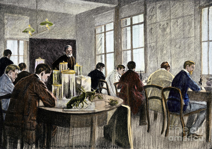 Sciences Ernst Haeckel (1834-1919) Teaching In His Laboratory At The University Of Jena In Germany Color Grail Of The 19th Century Drawing by American School