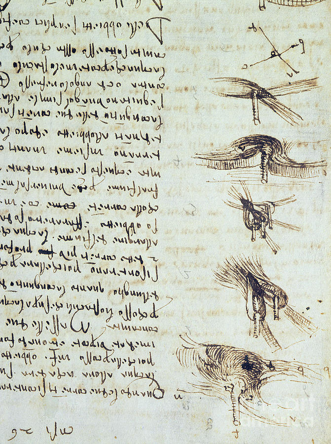 Scientific Diagrams, From The Codex Leicester, Detail Drawing by Leonardo Da Vinci