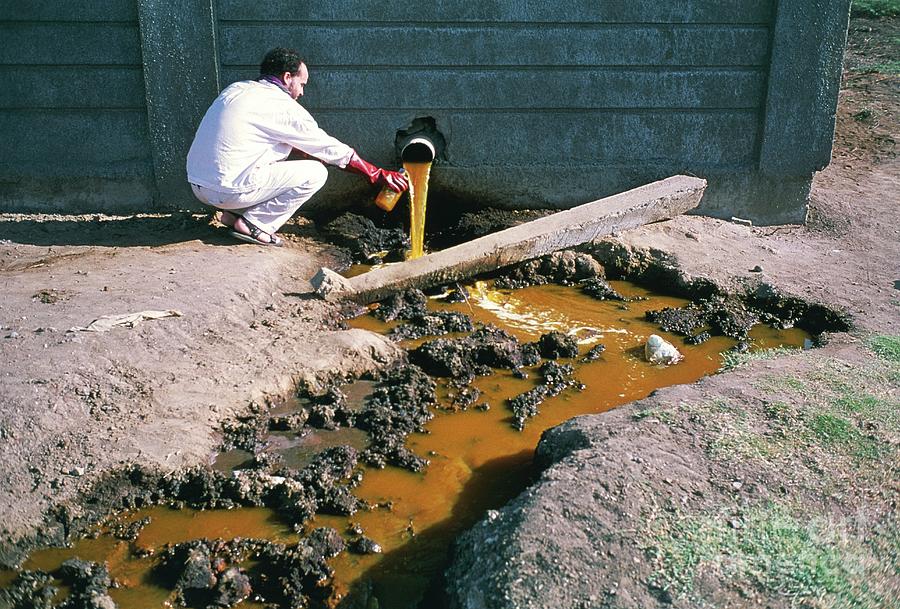 Scientist Collects A Sample Of Polluted Water by Bob Edwards