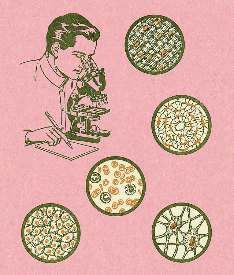 Vintage Drawing - Scientist Looking at Cells Under Mircoscope by CSA Images