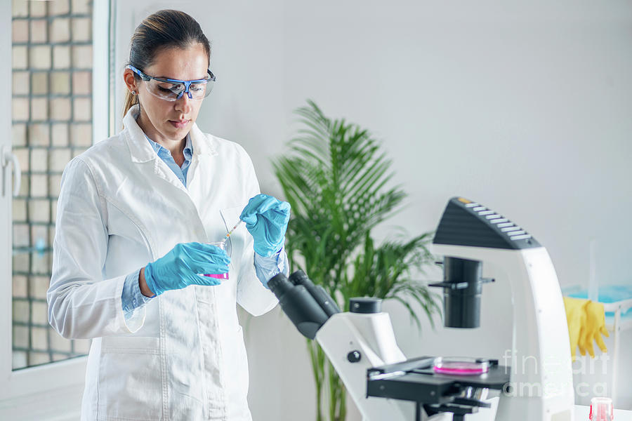 Scientist Testing Sample by Science Photo Library