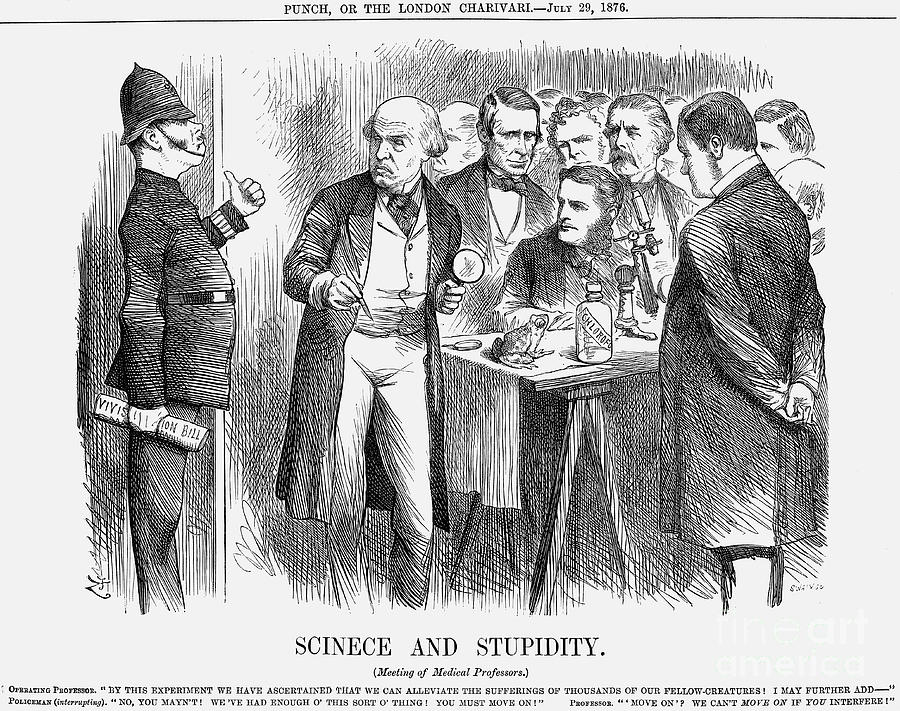 Scinece And Stupidity, 1876. Artist Drawing by Print Collector