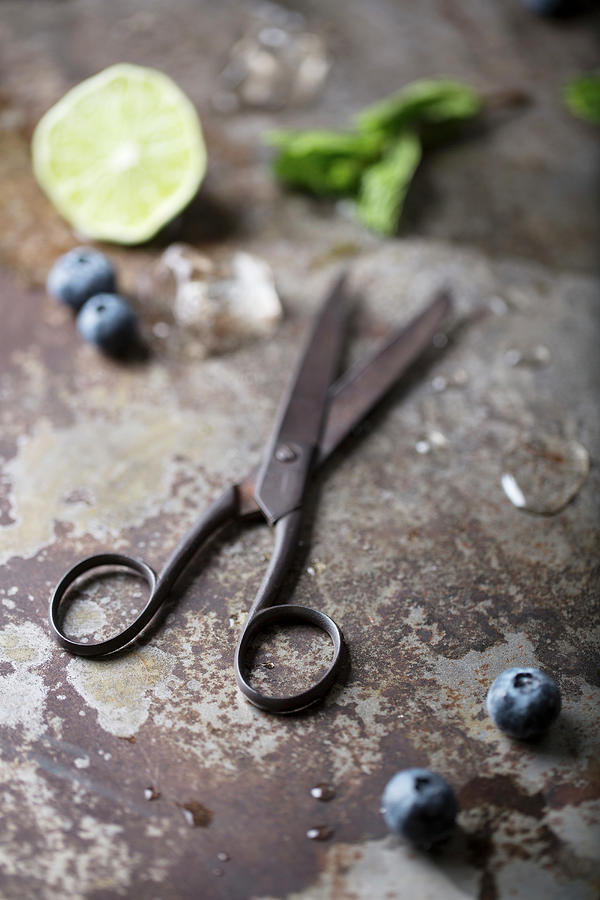 Scissors With Blueberries And Mint Photograph by Amelia Johnson