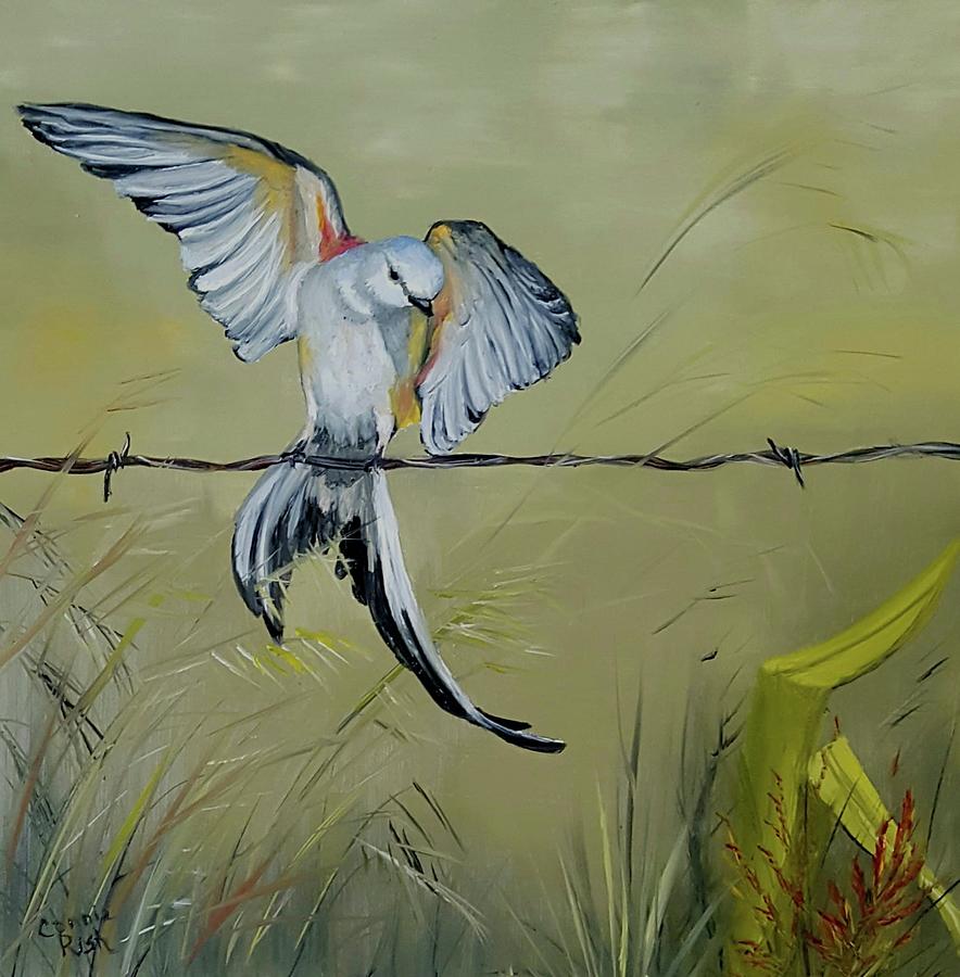 Scissortail Painting by Connie Rish