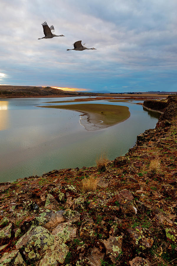 Scooteney Reservoir, WA Digital Art by Michael Lee