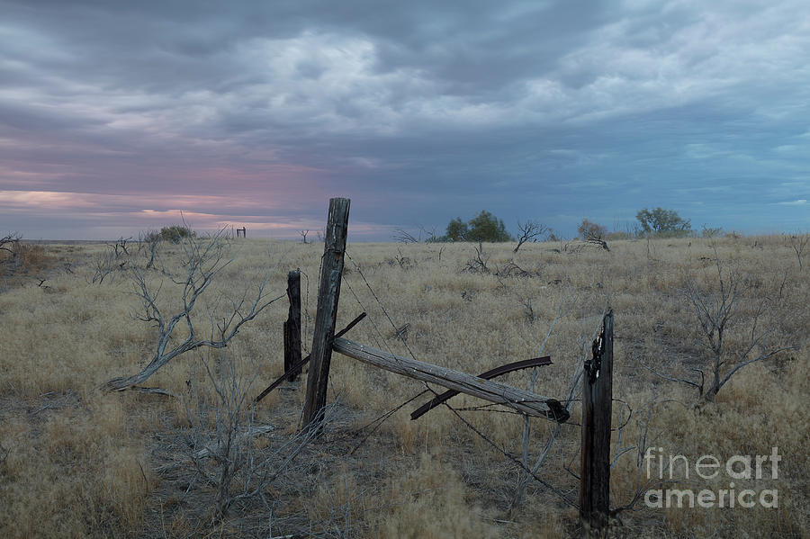 Scorched Photograph by Idaho Scenic Images Linda Lantzy