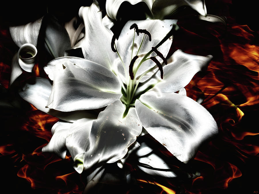 Scorching by Another Dimension Art Scorching by Another Dimension Art