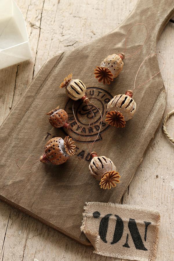 Scored Poppy Capsules On Chopping Board Made From Old Oak Wine Barrel Photograph by Regina Hippel