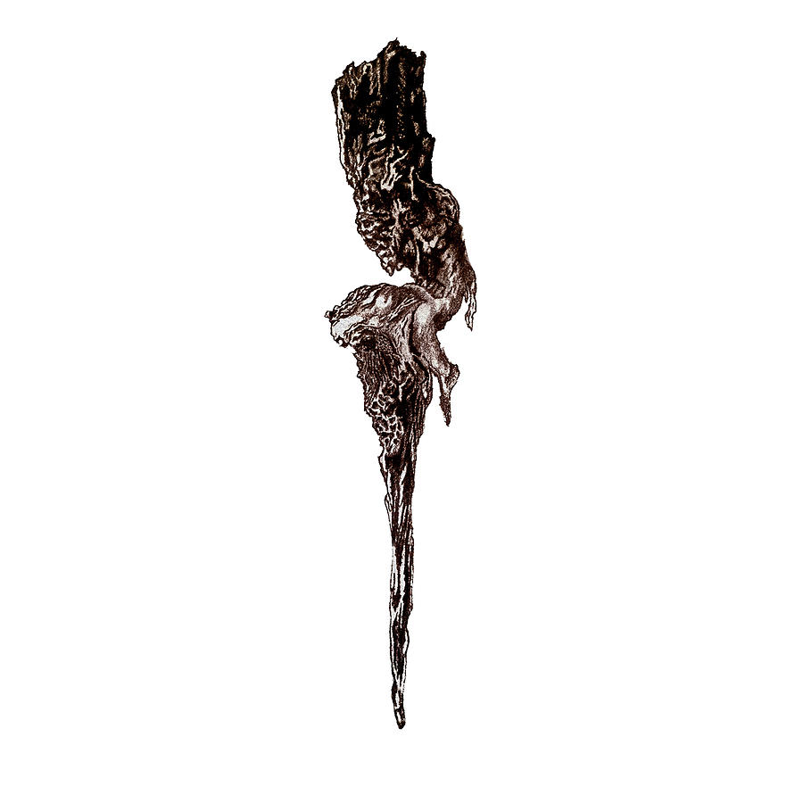 Scorn Pole Drawing by Shae Meyer - Pixels