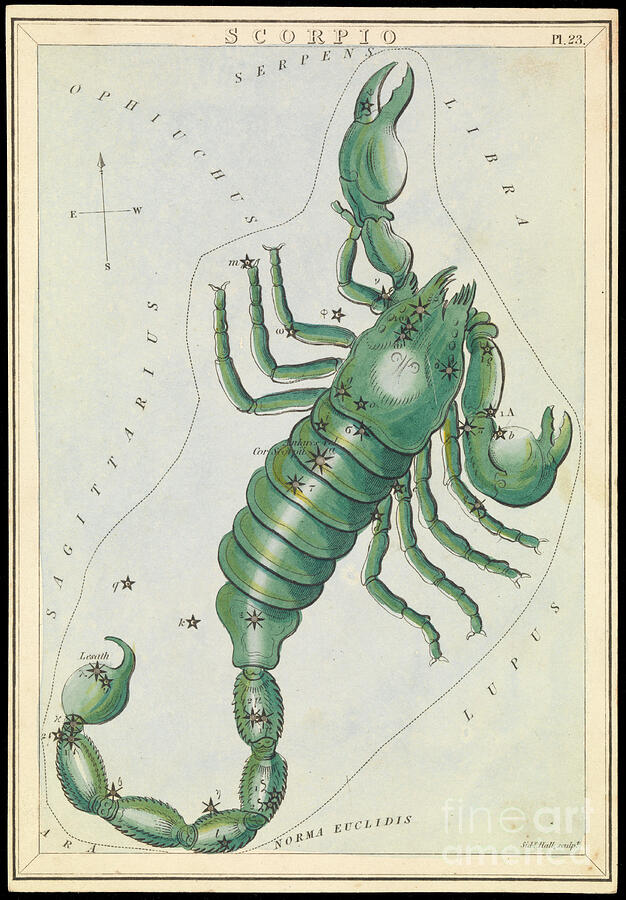 Scorpio, Circa 1825 Card, Paper, Tissue Mixed Media by Sydney Hall
