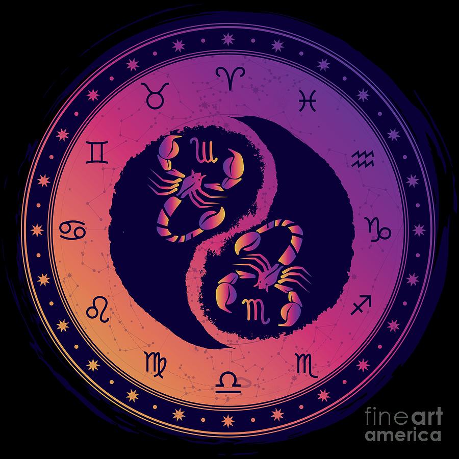 Scorpio Eighth Zodiac Sign Yin Yang by Studio Metzger