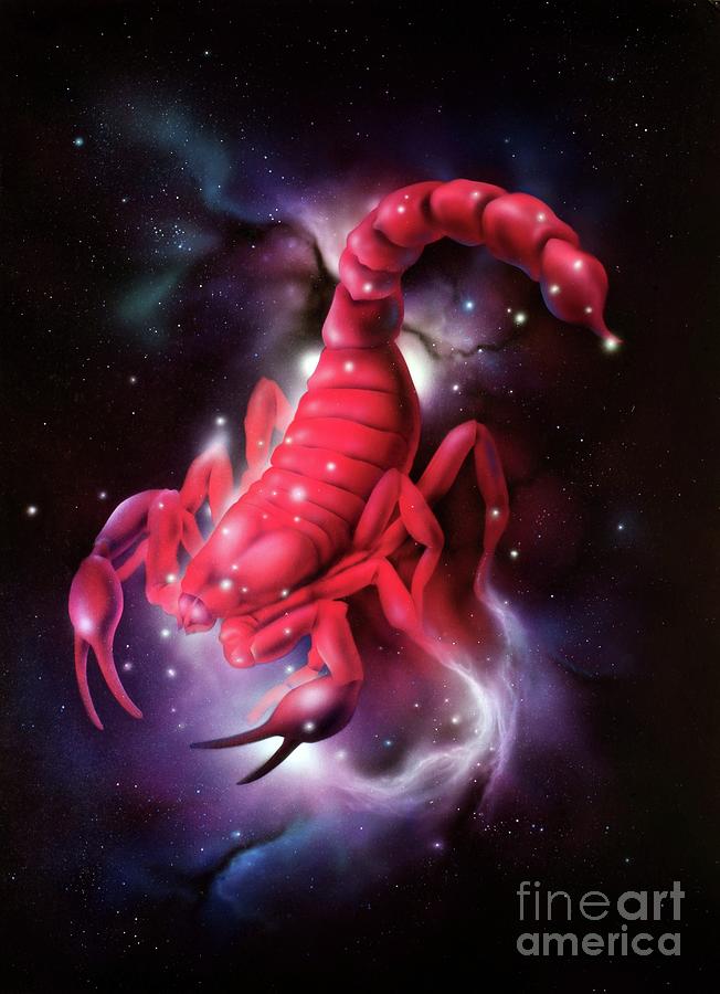 Scorpio Zodiac Sign Photograph by Detlev Van Ravenswaay/science Photo ...