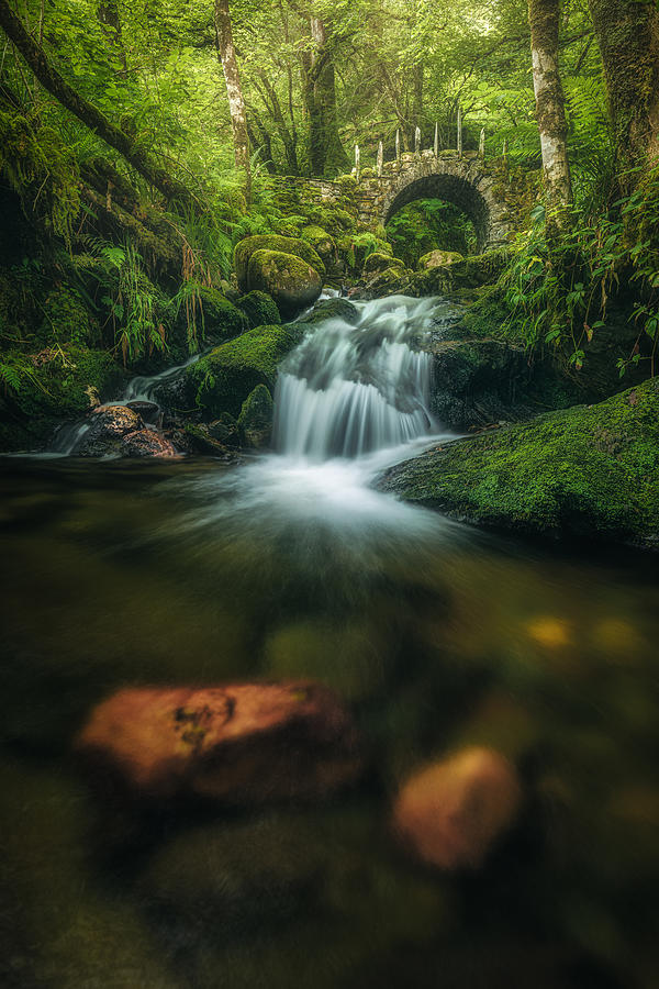 Waterfall Photograph - Scotland - Fairy Glen Bridge by Jean Claude Castor