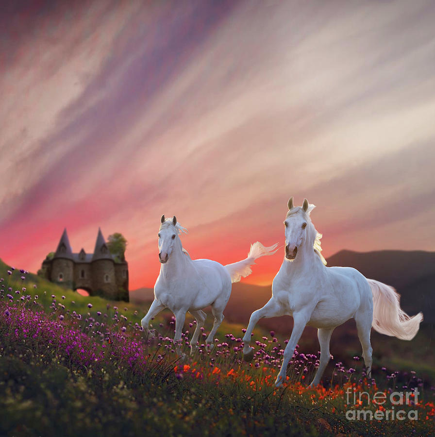 Scotland Fantasy by Melinda Hughes-Berland Scotland Fantasy by Melinda Hughes-Berland