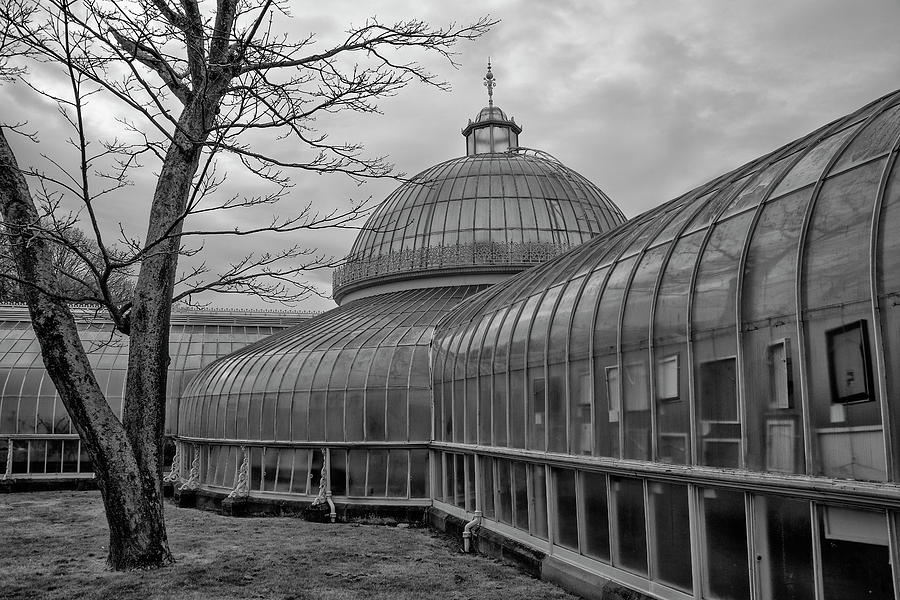 Scotland - Glasgow Botanic Gardens in Black and White Photograph by Bill Cannon