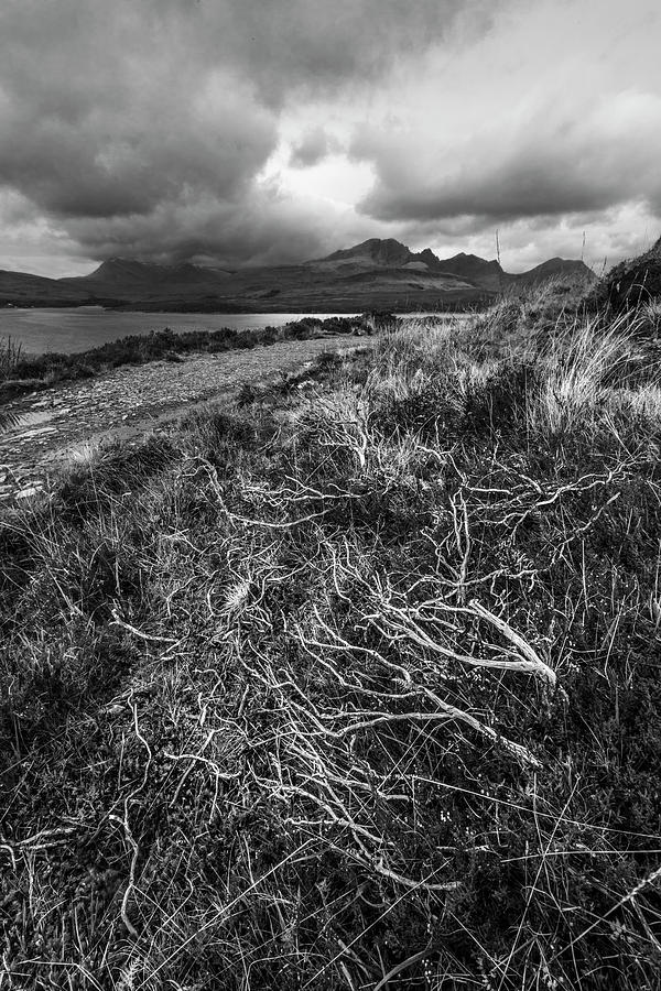 Scotland Untamed Black and White Photograph by Debra and Dave Vanderlaan