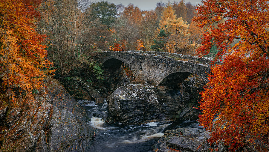 Scottish Autumn Photograph by Adrian Popan