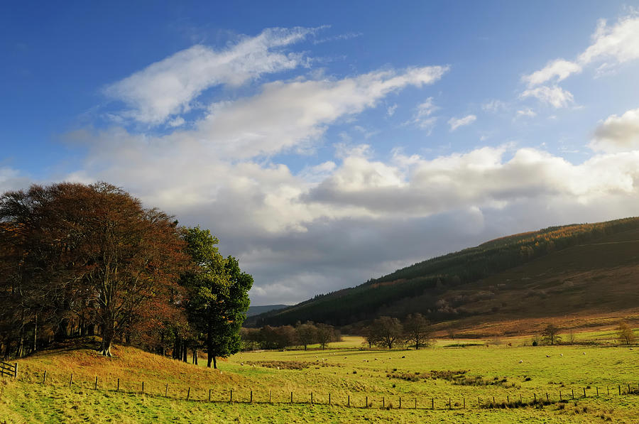 Scottish Landscape Photograph by Sjo