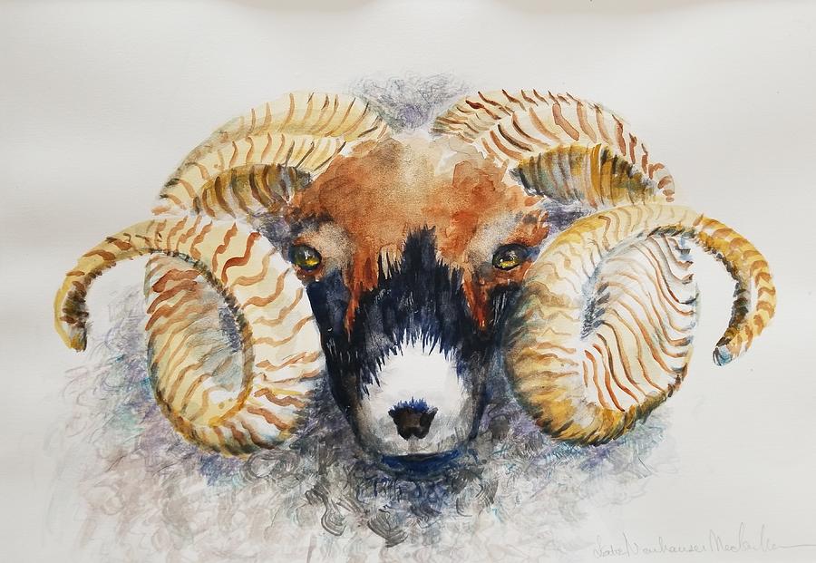 Scottish Ram by Lettie Neuhauser-MacLachlan Scottish Ram by Lettie Neuhauser-MacLachlan