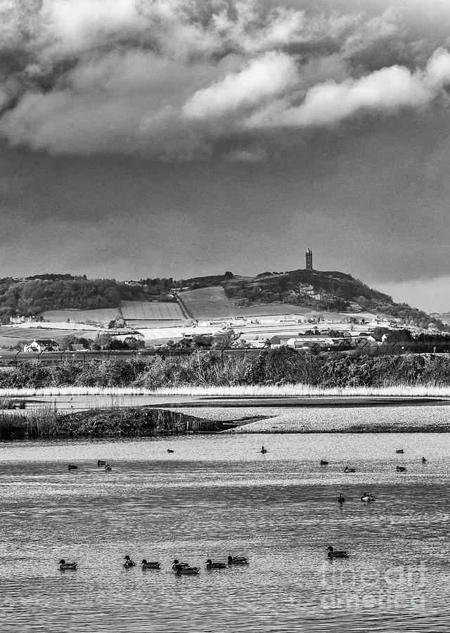 Scrabo Tower bw Photograph by Jim Orr