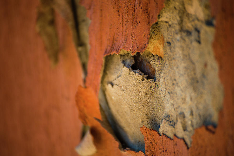 Scraped Wall Photograph by Vivida Photo PC