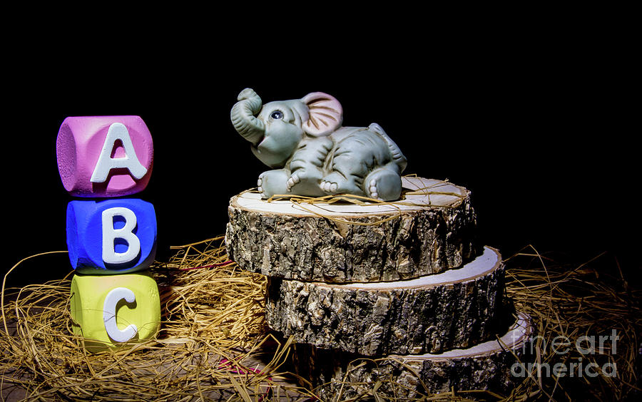 Scrappy the Elephant II Photograph by Deborah Klubertanz Fine Art America