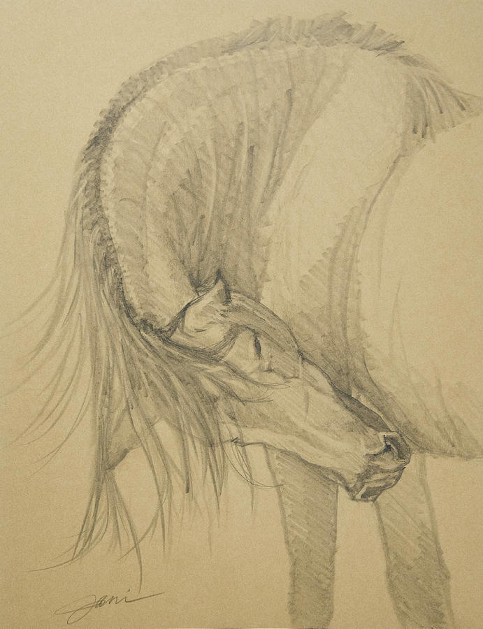 Scratching An Itch 2 Drawing by Jani Freimann
