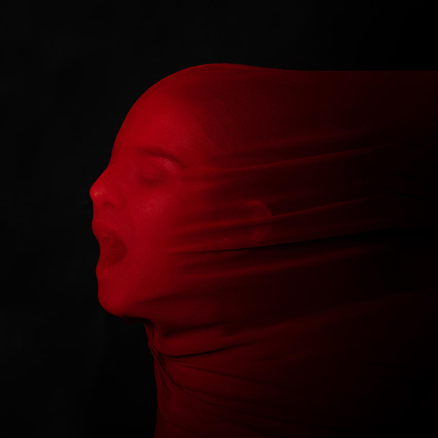 Scream Photograph by Mikhail Trishchenkov