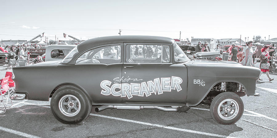 Screamer Photograph by Darrell Foster