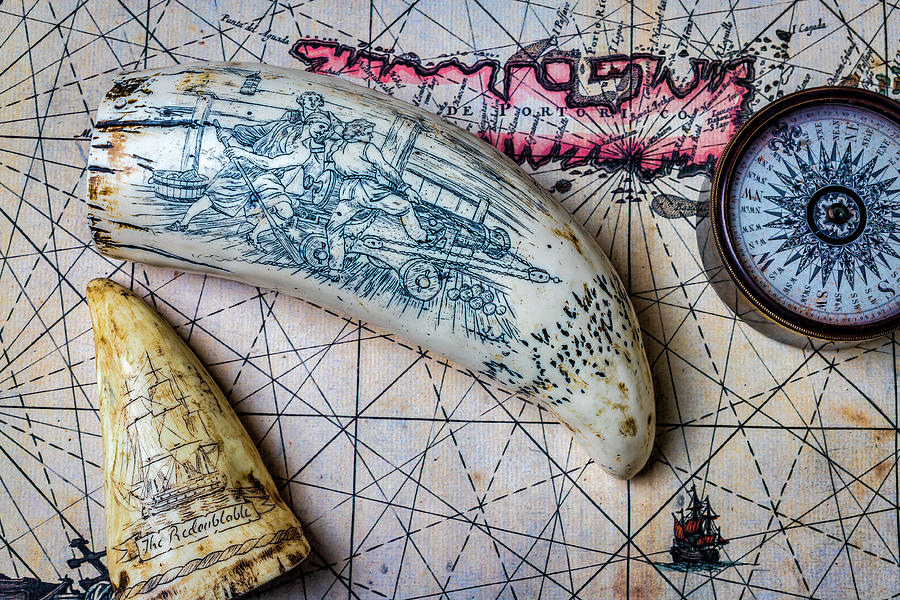 Scrimshaw On Old Map Photograph by Garry Gay
