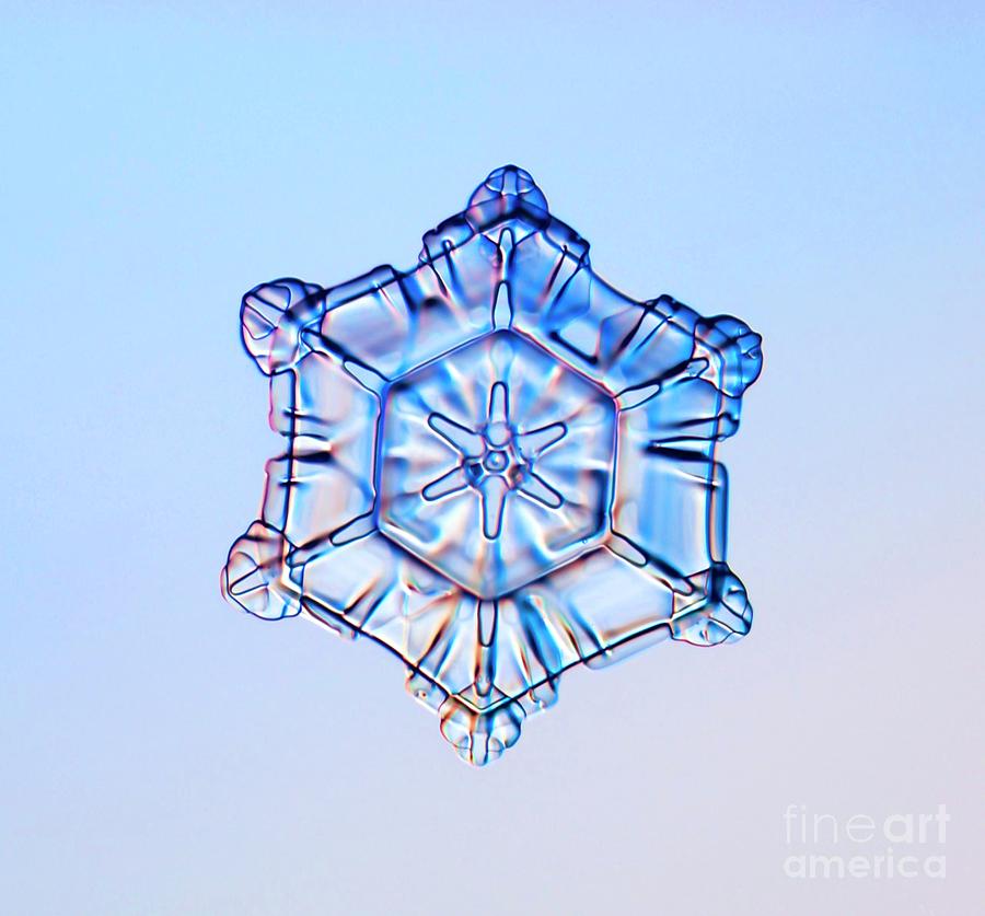 Scrolls On Plate Snowflake Photograph by Kenneth Libbrecht/science Photo Library