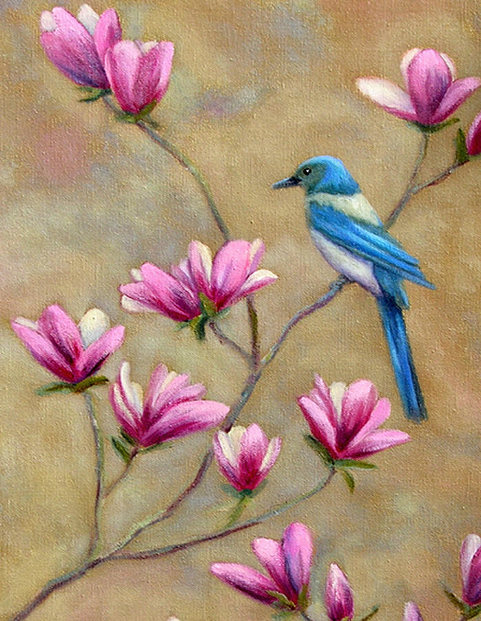 Scrub Jay on Tulip Magnolia Painting by Art by Carol May