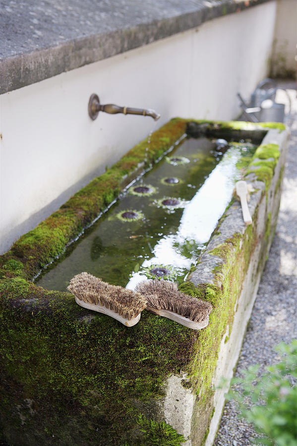 Scrubbing Brushes On Edge Of Mossy Drinking Trough With Water Spout Photograph by Francesca Giovanelli