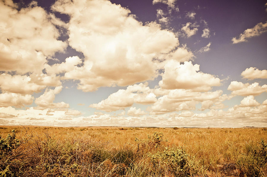 Scrubbrush Landscape Under Puffy Clouds Photograph by Brian E. Miller Photography