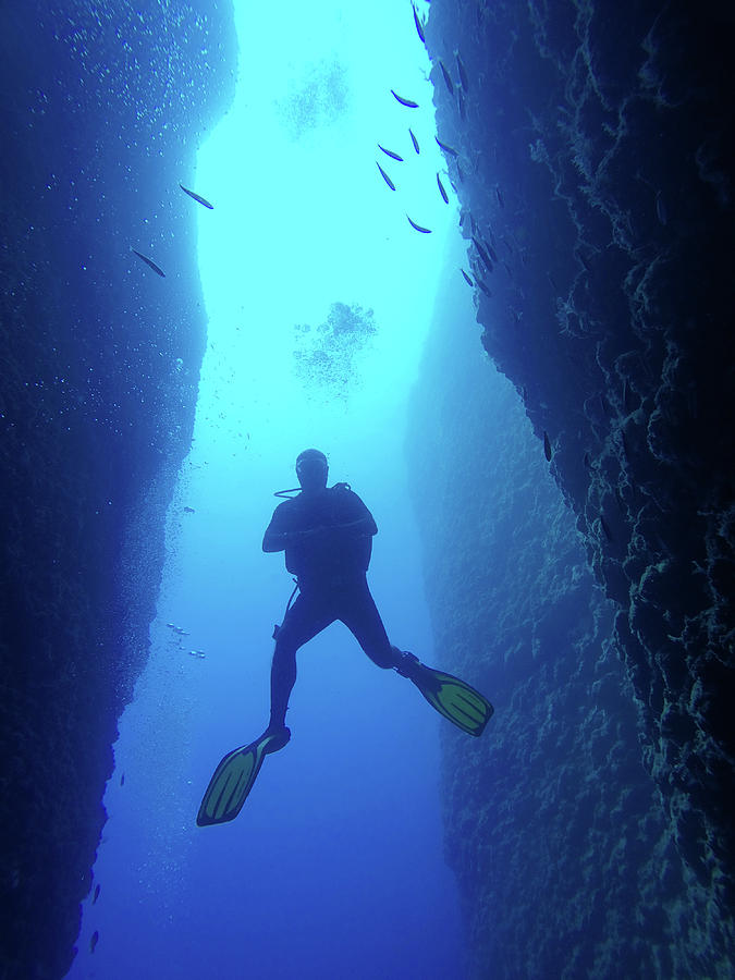 Scuba Diver While Diving In Canyon Photograph by Cavan Images - Fine ...