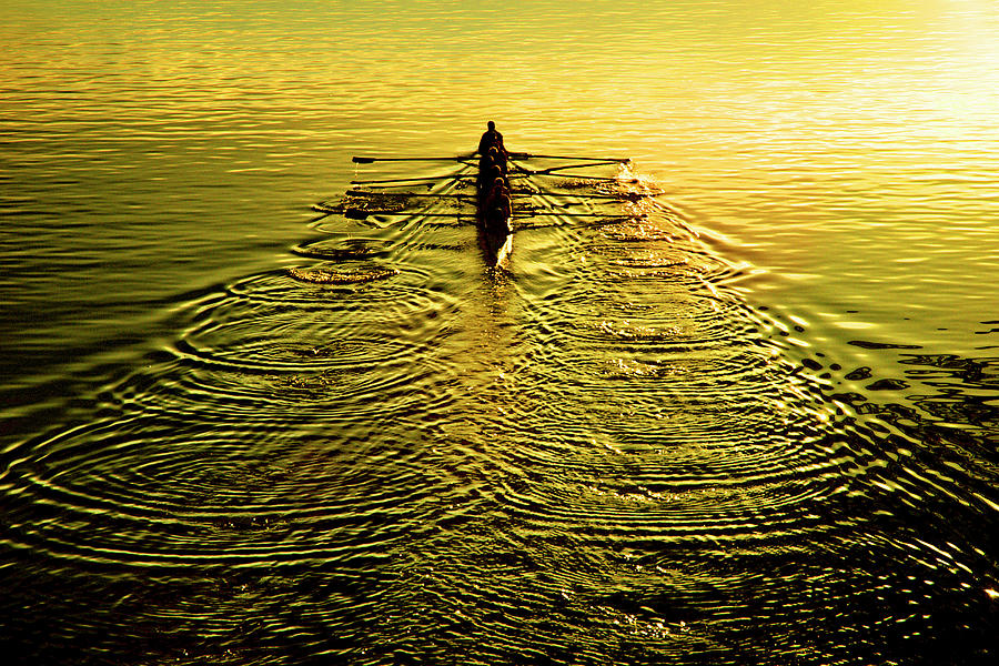 Sculling Team At Sunset Photograph by Bill Hinton Photography
