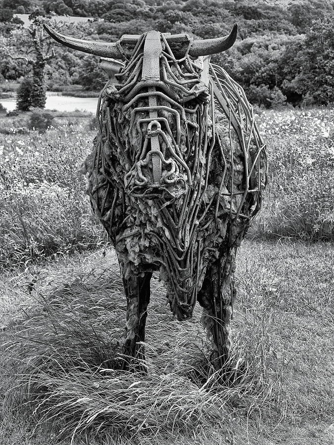 Sculpture Of A Bull Monochrome Photograph by Jeff Townsend