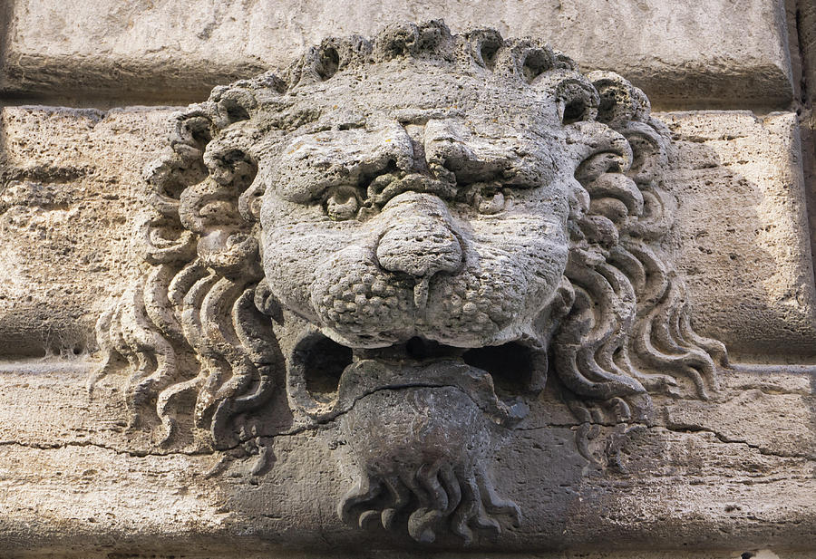 Sculpture of a lions head  Photograph by Tosca Weijers