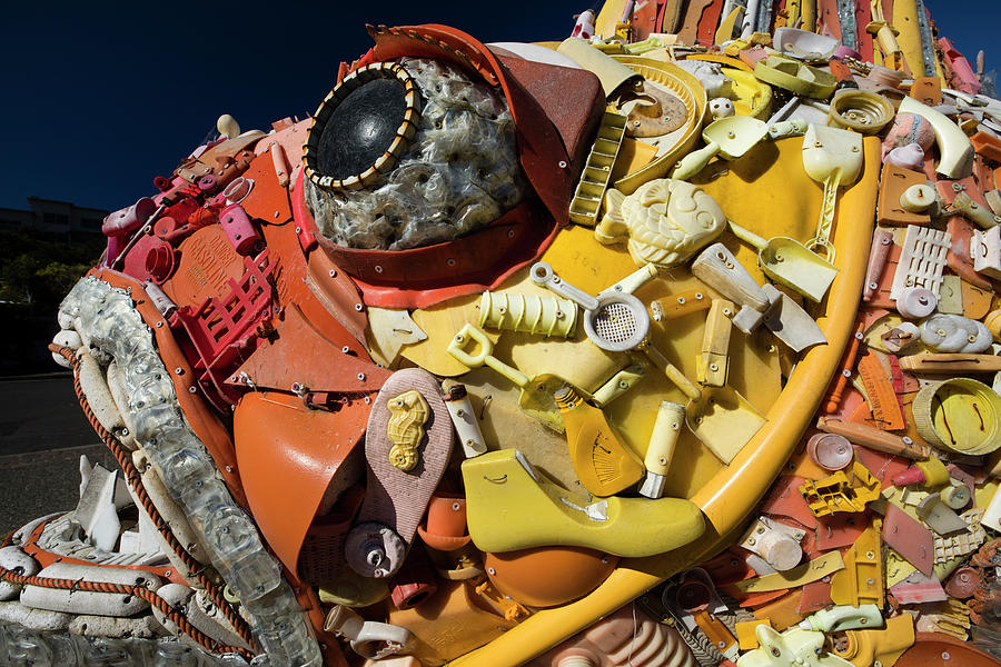 Sculpture Of Fish Made By Recycled Photograph by Panoramic Images