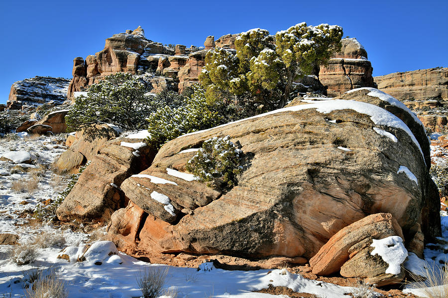 SE Rim Rock Drive of CO National Monument Photograph by Ray Mathis