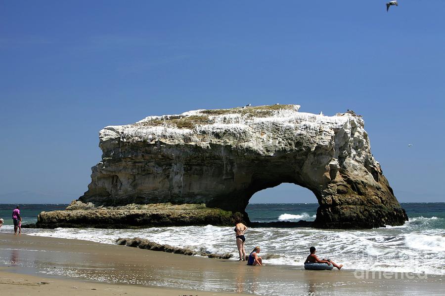 Sea Arch Photograph by Michael Szoenyi/science Photo Library
