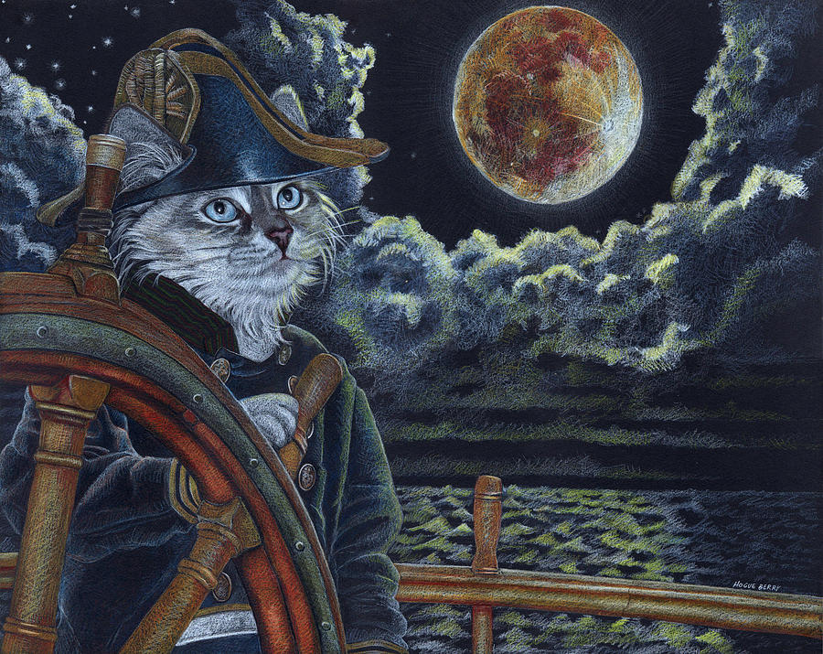 Sea Cat Drawing by Wendy Berry - Fine Art America Sea Cat Drawing by Wendy Berry - Fine Art America