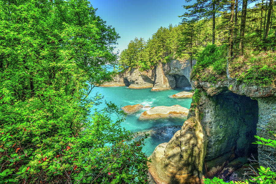 Sea Caves at Cape Flattery Photograph by Spencer McDonald