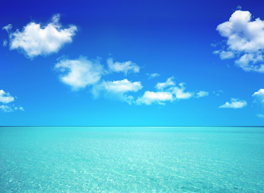 Sea by c o t a collectionrf