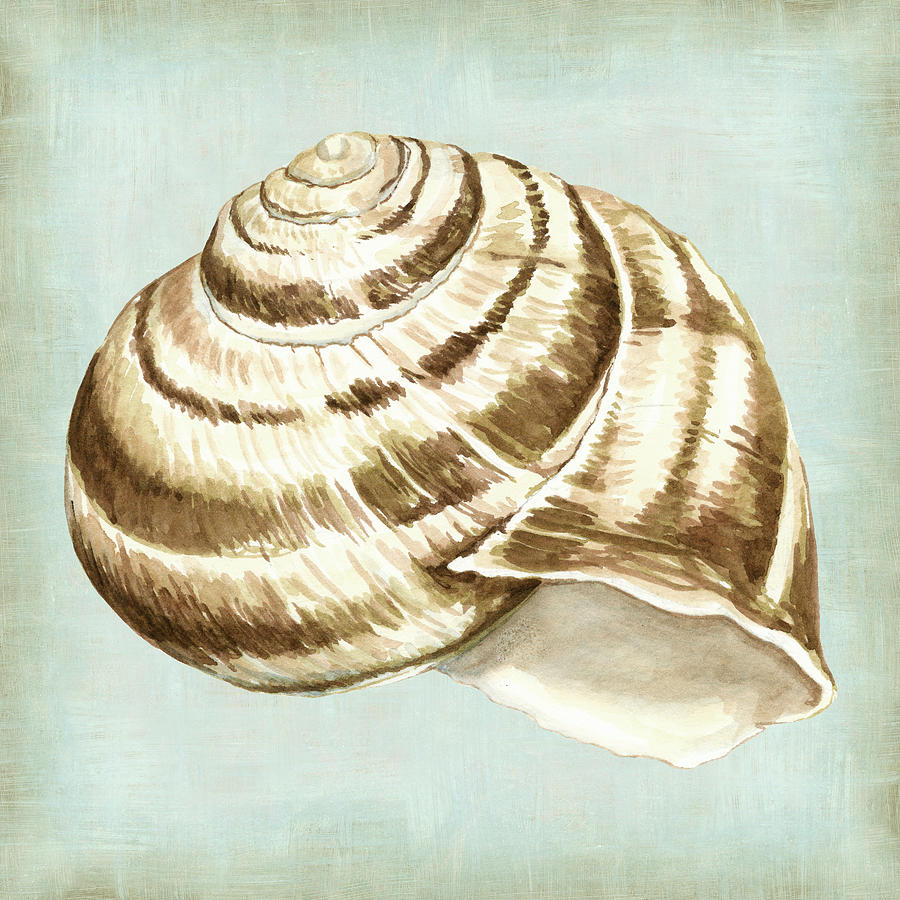 Sea Dream Shells I Painting by Vision Studio